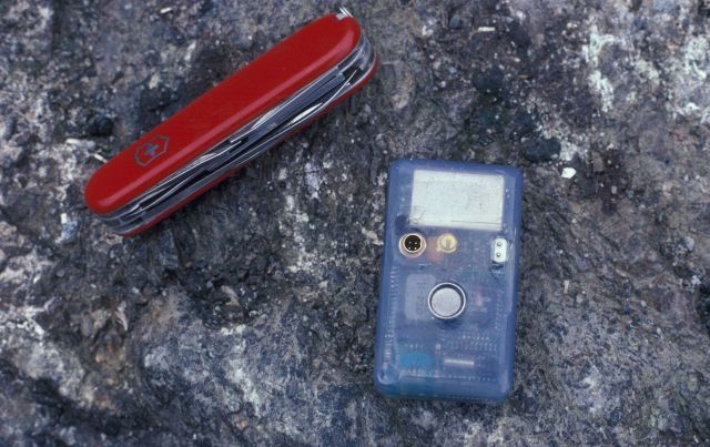 A small tag attached to penguins to track their movements. Picture