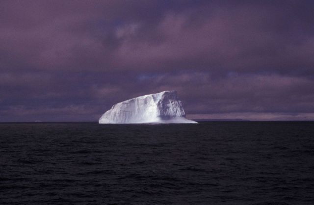 Iceberg, South Shetland Islands. Picture
