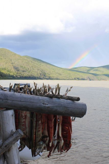 Drying salmon on the Yukon River with a rainbow on the far bank of the river. Picture