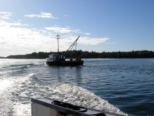 Clam dredger EMPTY POCKETS seen operating in Passamaquoddy Bay area Picture