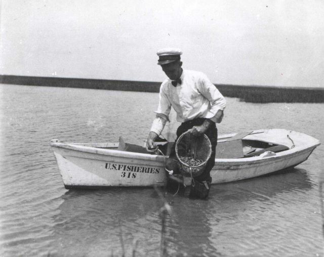 Captain Hatsel of U.S Picture