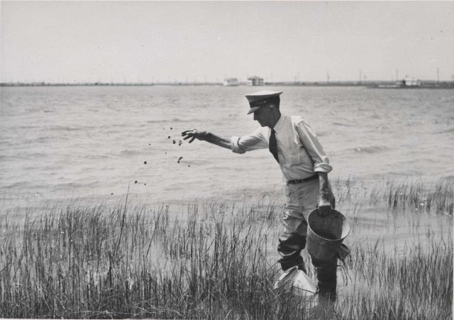 Captain Hatsell feeding fish scraps to terrapin Picture