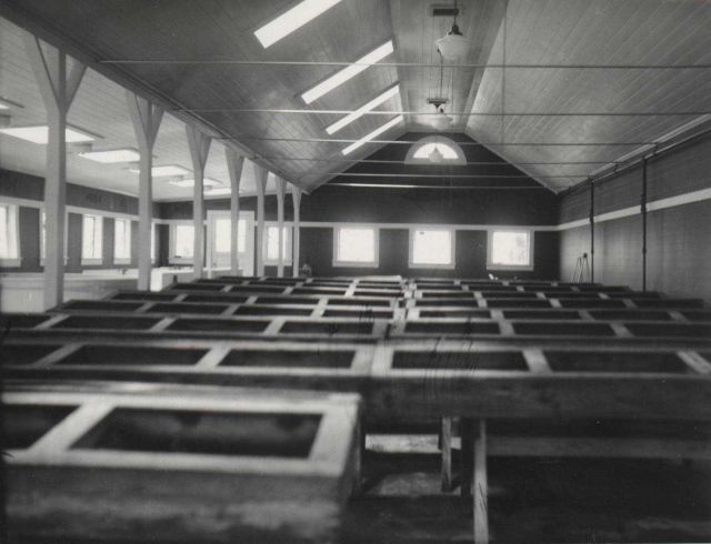 Interior of terrapin rearing house Picture