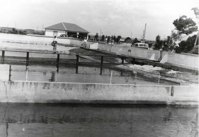 Terrapin breeding pens on south side of Beaufort Laboratory. Picture