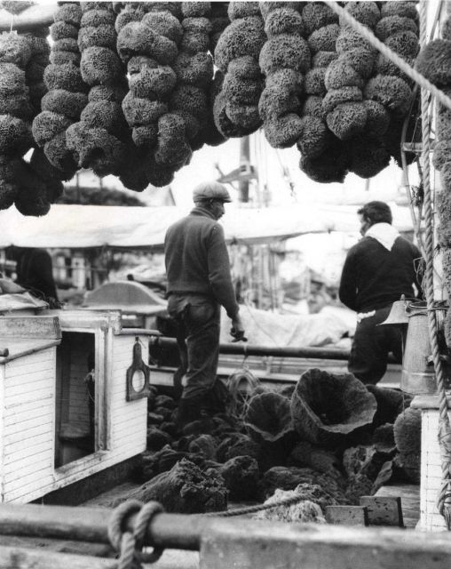 Greek sponge fishermen on deck of sponge boat with drying sponges Picture