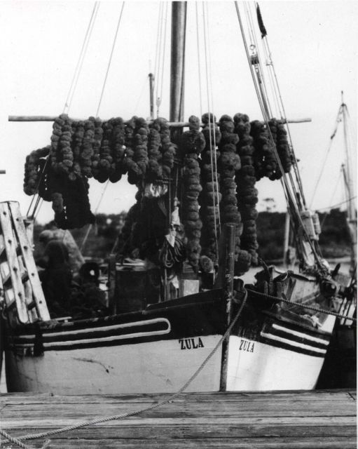 Sponge boat ZULA with sponges drying Picture