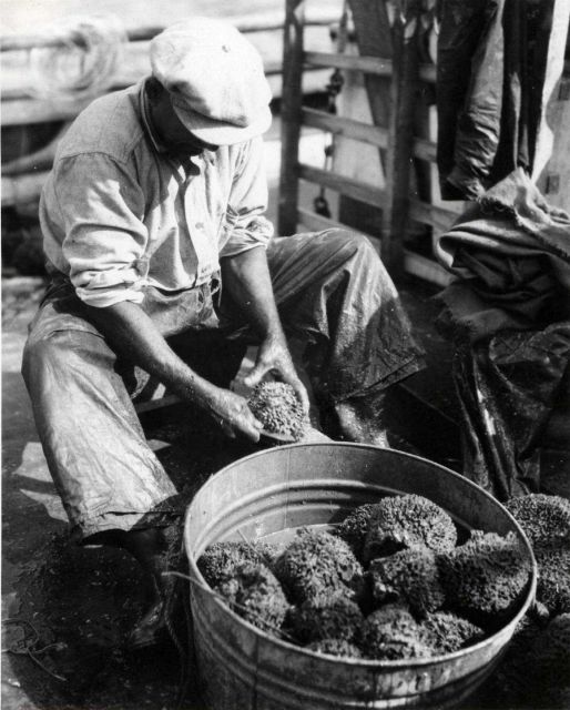 Cleaning sponges Picture