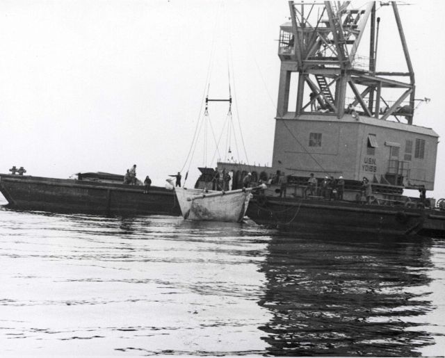 The 27-foot long Gigi is gently lowered into the sea after a year in captivity. Picture