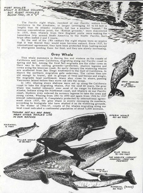 Images from FWS Conservation Note 9 Picture