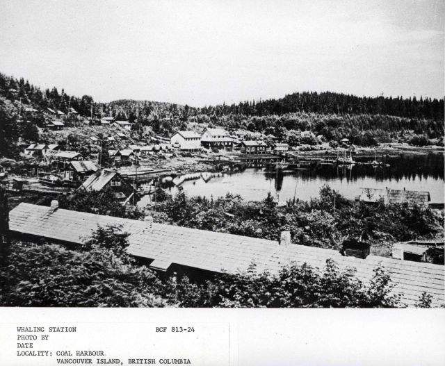 The whaling station at Coal Harbor, at the northwest tip of Vancouver Island. Picture