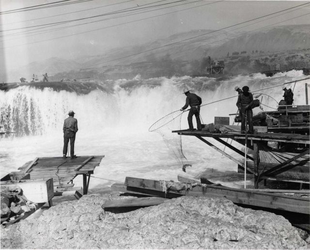 Salmon fishing with large loop nets by Indians at Celilo Falls, Oregon Picture