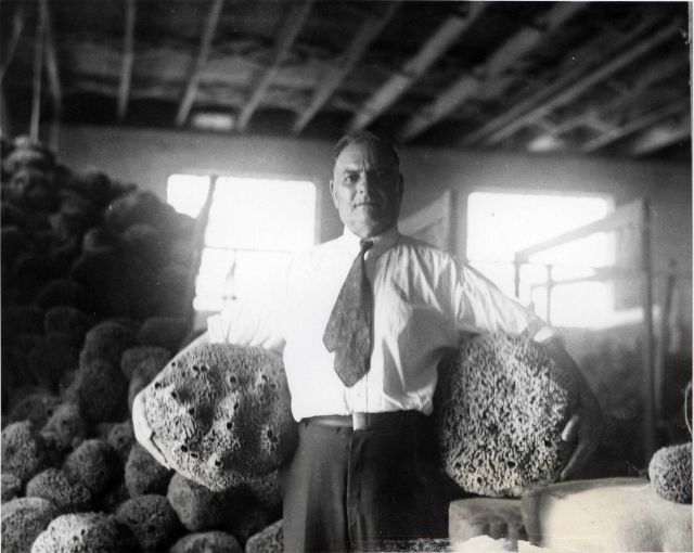 Proud dealer displays two huge wool sponges. Picture