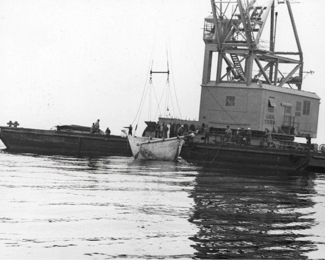 The 27-foot long Gigi is gently lowered into the sea after a year of captivity. Picture