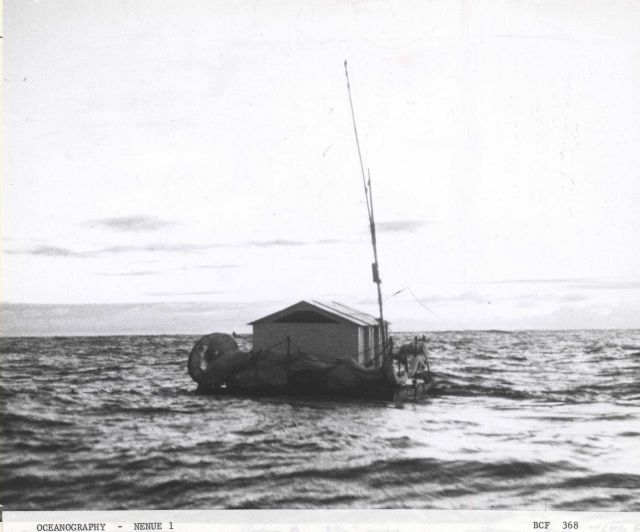NENUE I adrift off the Kona coast of the big island of Hawaii Picture