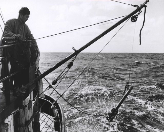 Deploying a bathythermograph from a fisheries research vessel Picture