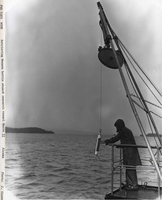 Retrieving a Nansen bottle aboard the Fisheries Research Vessel MURRE II. Picture