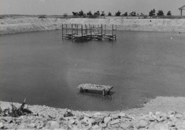 General view of artificial pond used in experiments on propagation of European oysters Picture