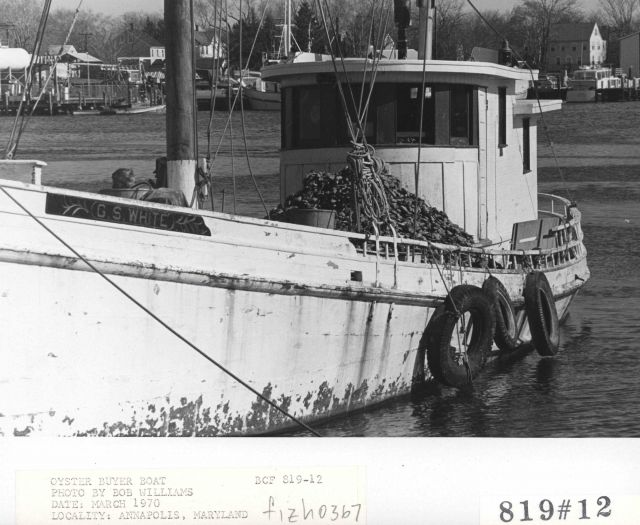 The oyster buyer boat G Picture