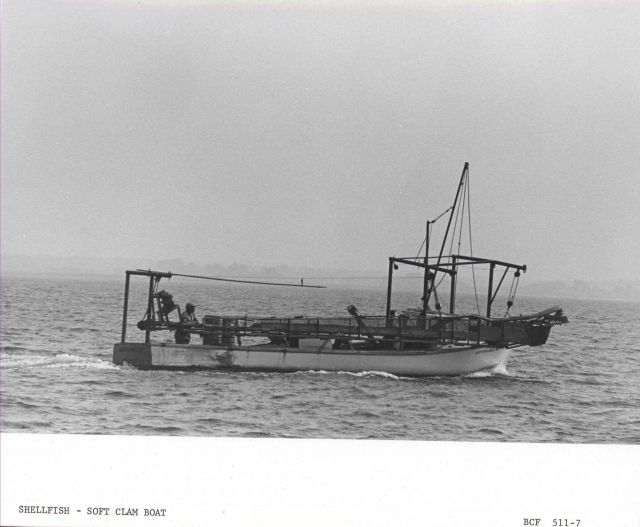 The soft shell clam dredger SARAH REGINA Picture
