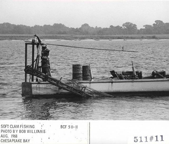 The soft shell clam dredger SARAH REGINA Picture