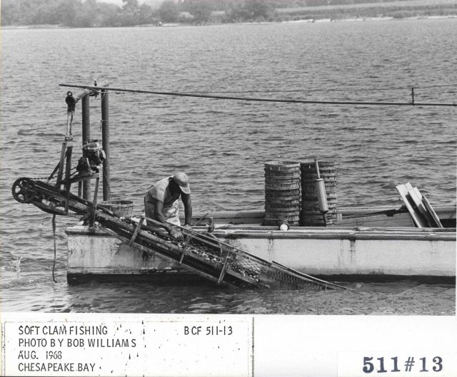 The soft shell clam dredger SARAH REGINA Picture