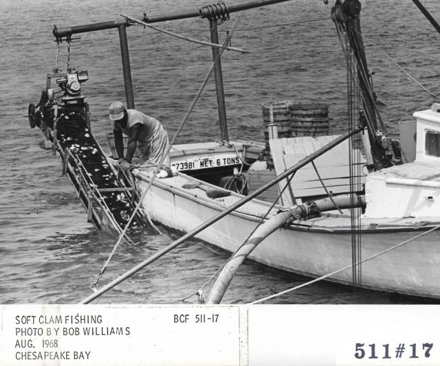 The soft shell clam dredger SARAH REGINA Picture