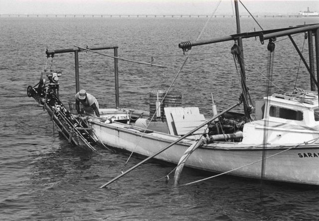 The soft shell clam dredger SARAH REGINA Picture