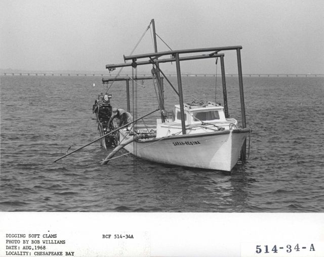 The soft shell clam dredger SARAH REGINA Picture