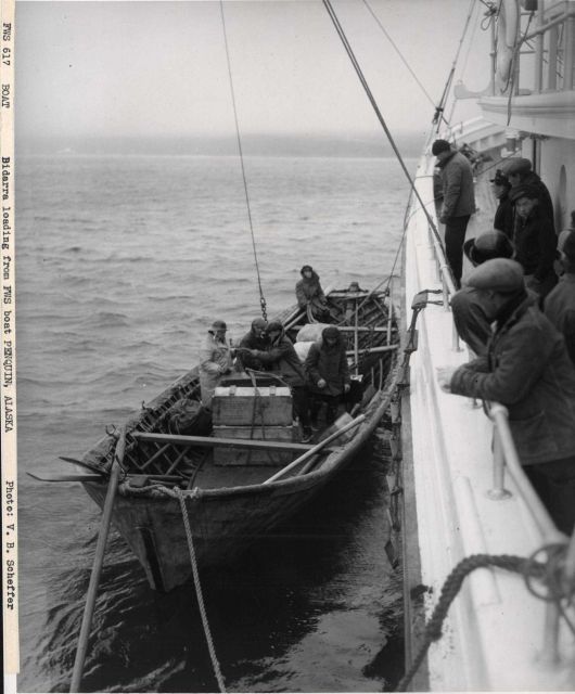 Bidarra loading from FWS vessel PENGUIN Picture