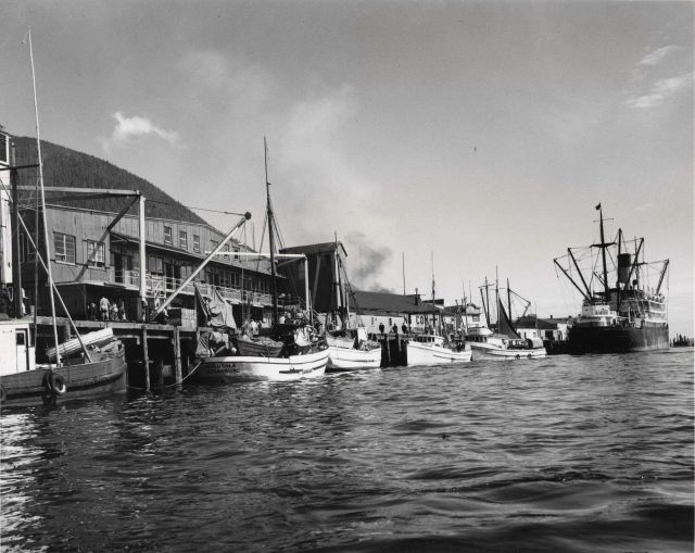 Part of Alaska fishing fleet along the Ketchikan waterfront. Picture