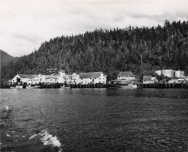 Shoreline view of Ketchikan with New England Fish Company salmon cannery and Union Oil fuel facility. Picture