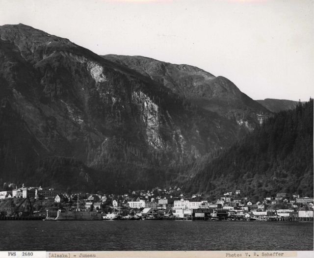 A view of Juneau from the water Picture