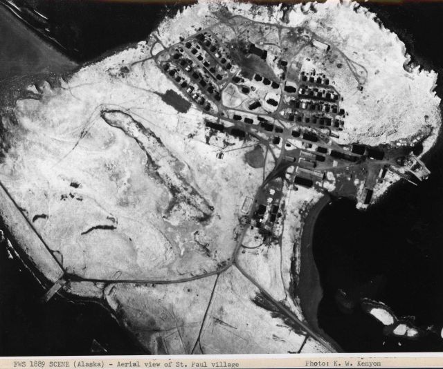 Aerial view of St Picture