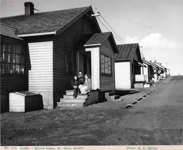 Native homes on St Picture