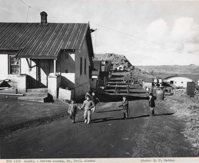 Native homes on St Picture