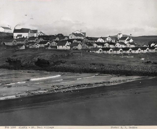 A panoramic view of St Picture