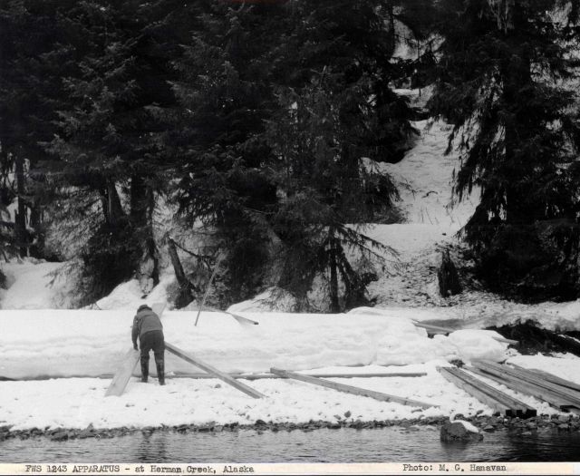 Snow-covered weir at Herman Creek Picture