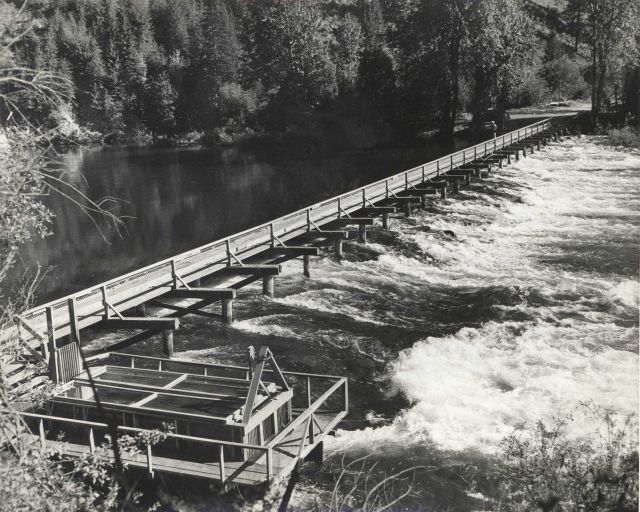 Tumwater weir on the Wenatchee River Picture