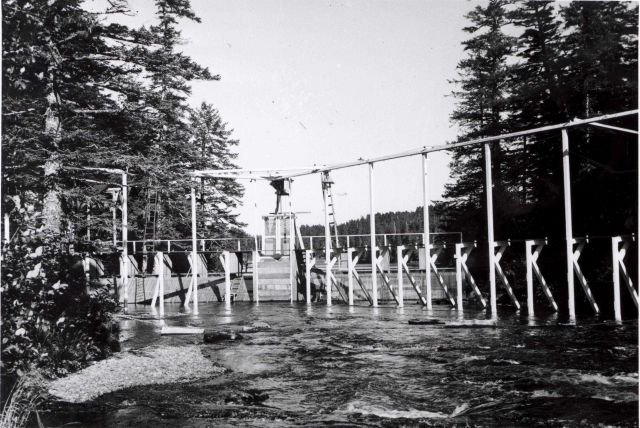 Saskan Creek weir Picture