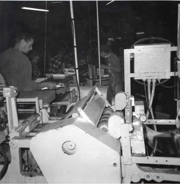 Processing whiting at Ocean Side Fisheries Picture