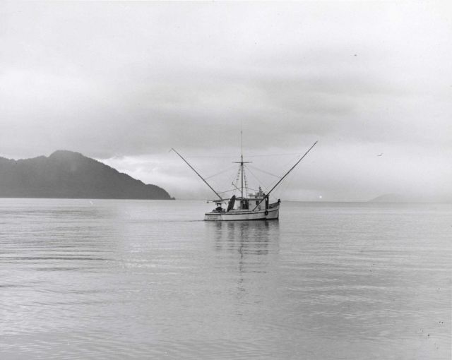 Salmon troller Picture