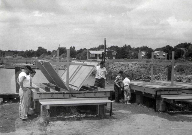 Experimental troughs with running sea water where, in a series of different experiments, various chemicals are being tested on starfish and oyster dri Picture