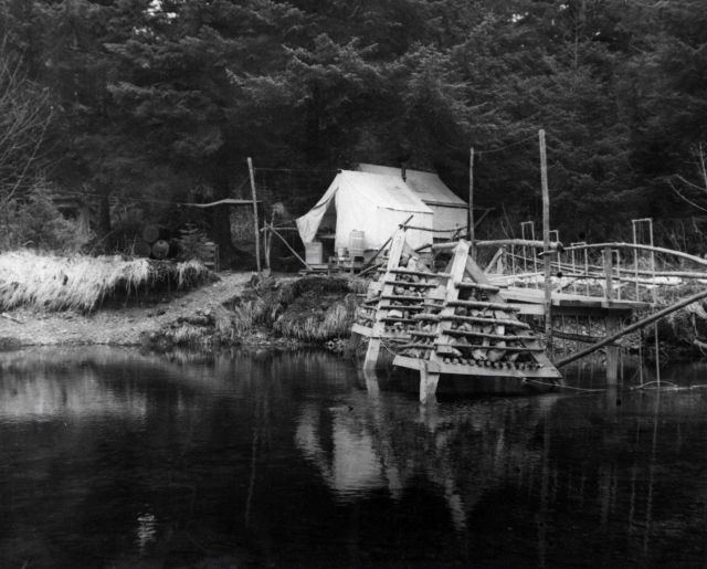 Device for trapping salmon fry for migration studies at the downstream migrant station. Picture