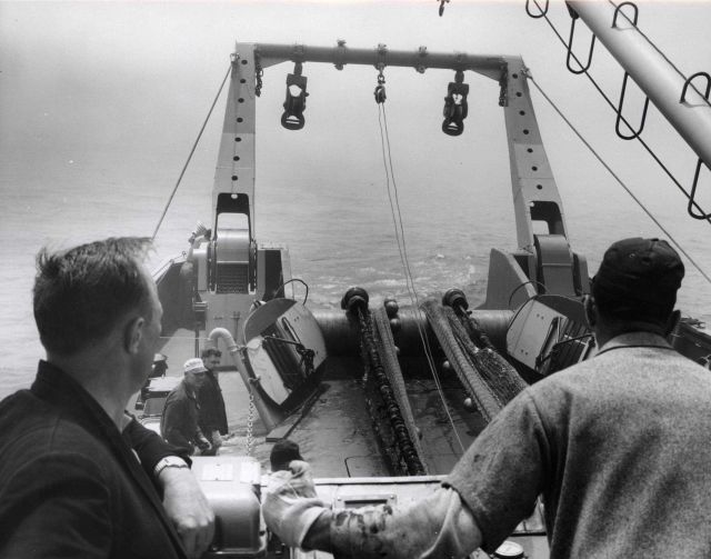 Trawling operations on the ALBATROSS IV. Picture