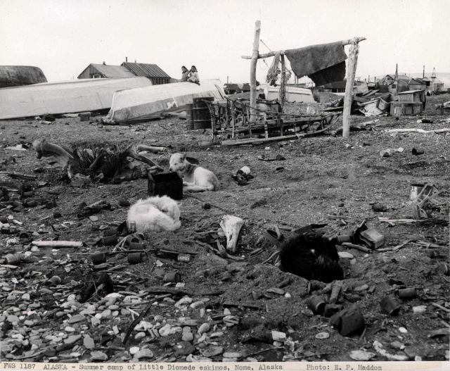 Summer camp of Little Diomede eskimos. Picture