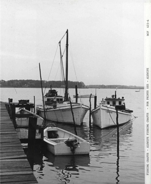 Alewife fishing craft MISS FITTS and AGNES M . Picture