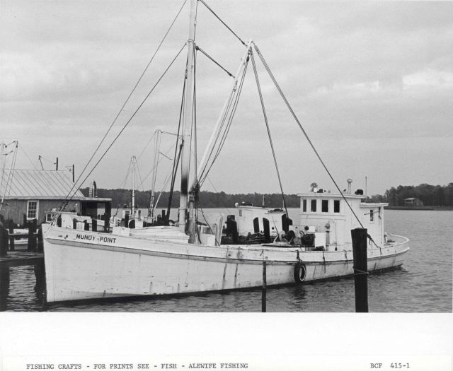 Alewife fishing craft MUNDY POINT Picture
