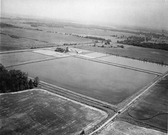 Catfish ponds Picture