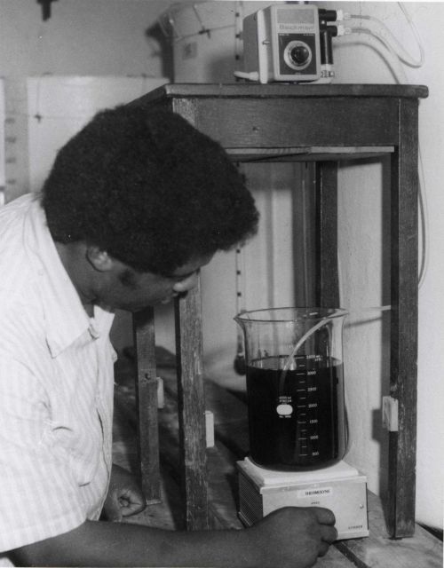 Aquaculture - Cultured algae are concentrated and frozen to provide food for young shrimp. Picture