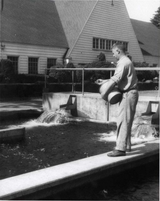Aquaculture - Raceways and hatchery building at the Bonneville Salmon Hatchery on the Columbia River Picture